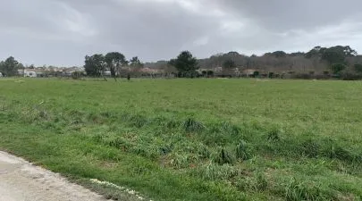 Terrain 590 m² à SAINT-PALAIS-SUR-MER